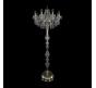 Bohemia Ivele Crystal Торшер Bohemia 1409T1/8/195-160 G