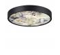 Настенно-потолочный светильник Odeon Light Bergi 5064/30L