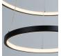 Светильник подвесной Arte Lamp Frodo A2197SP-2BK